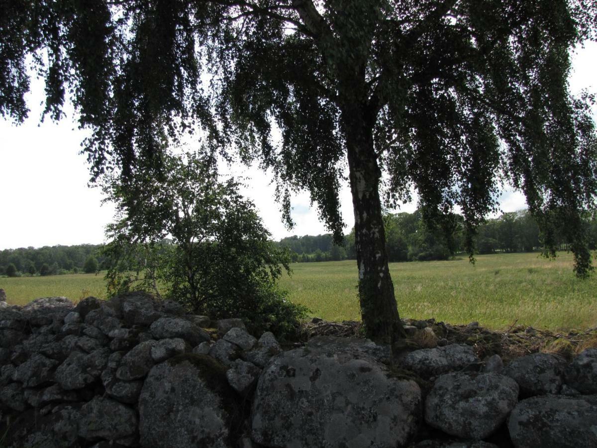 Stalemara Gard Krickan Fågelmara Kültér fotó